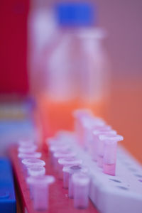 Im Labor: Vitamin D zeigt sich als Krebshemmer (Foto: pixelio.de/A. Dengs)