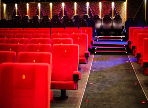 Kinosaal: Seriöse Filme werden eher geschätzt (Foto: pixelio.de/R. Sturm)