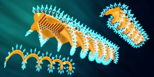 Mikroträger: für Medikamententransport der Zukunft (Foto: ethz.ch/ Peters)