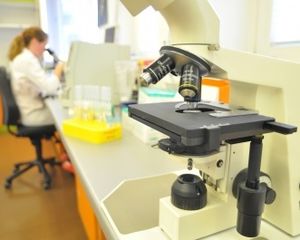 Im Labor: Mediziner können Parkinson-Symptome lindern (Foto: pixelio.de, Bührke) Im Labor: Mediziner können Parkinson-Symptome lindern (Foto: pixelio.de, Bührke)