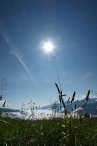 Sonne: Satellitenaufnahmen werden besser (Foto: pixelio.de, Joerg Trampert)