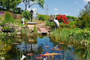 Klares Wasser im Teich (© Herbert Esser - Fotolia.com)