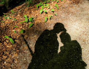 Schatten-Selfie: beherbergt ungeahnte Informationen (Foto: Joujou/pixelio.de)