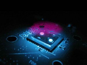 Hologramm: Probe im Mikroskop über dem Lichtsensor (Foto: ucla.edu) Hologramm: Probe im Mikroskop über dem Lichtsensor (Foto: ucla.edu)