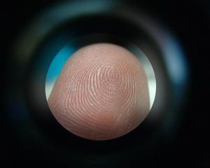 Fingerabdruck: Biometrische Scanner bald billiger (Foto: pixelio.de/H. Hautumm)
