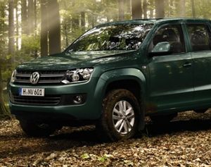 Amarok im Wald: Volkswagen-Konzern fährt allen davon (Foto: vw.de)