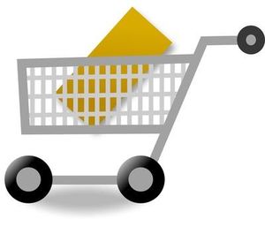 Virtueller Einkaufswagen: Indien wandelt sich stark (Foto: Windorias/pixelio.de)