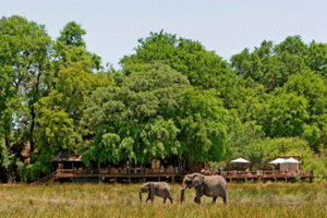 Les camps dans le delta de lOkavango (photo: Sanctuary Retreats)