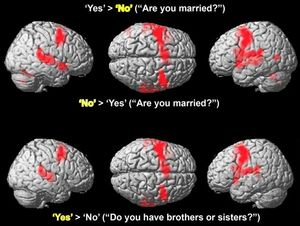 Digitale Auswertung: Antwortmöglichkeiten Digitale Auswertung: Antwortmöglichkeiten