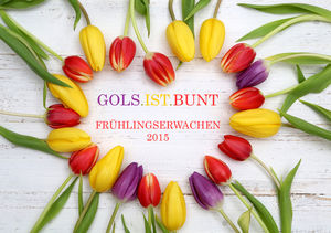 Gols.Ist.Bunt - Frühlingserwachen 2015 (Bild: Gols.Ist.Bunt)