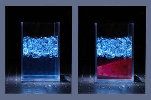 Hydrogel-Perlen: interessante Versuche möglich (Foto: F. Frankel, J. Dijksman)