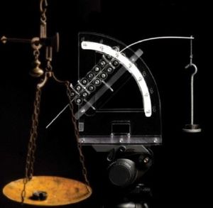 Elastischer Arm: hat großes Zukunftspotenzial (Foto: erc-instabilities.unitn.it) Elastischer Arm: hat großes Zukunftspotenzial (Foto: erc-instabilities.unitn.it)