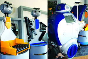 Roboter für den Alltag: vor allem Ältere sollen profitieren (Foto: sssup.it)