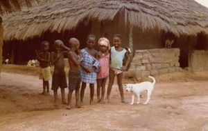 Ebola: Kindersterblichkeit extrem hoch (Foto: pixelio.de, tokamuwi)