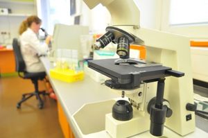 Bluttest: Weniger risikoreich für Schwangere (Foto: Michael Bührke/pixelio.de) Bluttest: Weniger risikoreich für Schwangere (Foto: Michael Bührke/pixelio.de)