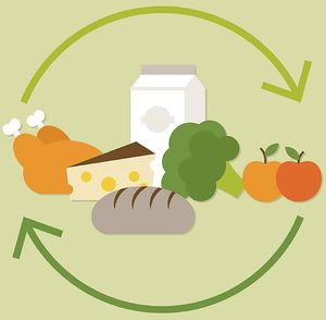 Nahrungsmittelkreislauf: Start-up hilft beim Sparen (Foto: myfoody.it)