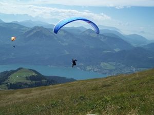 Fallschirmspringer: Sicherheit kommt von oben (Foto: pixelio.de/Thomas Tobaben)