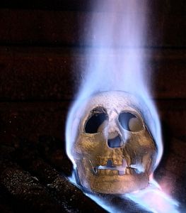 Totenkopf: Fans von Horror gibt es weltweit (Foto: Rike/pixelio.de) Totenkopf: Fans von Horror gibt es weltweit (Foto: Rike/pixelio.de)