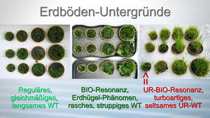 Erdboden-Untergründe (© media-consult.at)