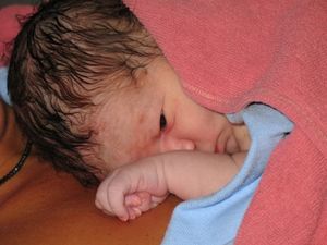 Neugeborenes: Essen der Plazenta umstritten (Foto: pixelio.de, W. Bugmann)