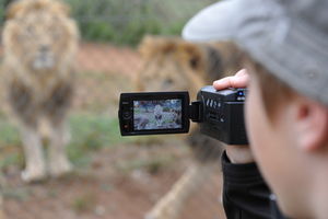 Videokamera: Cameo verzichtet auf Soziales (Foto: pixelio.de/Sonja Zach)