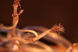 Kupferkabel: Die Hülle ist entscheidend (Foto: Anja Schweppe-Rahe, pixelio.de)