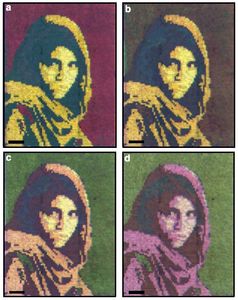 Geänderte Farben: neues Display hat immenses Potenzial (Foto: ucf.edu)