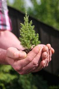 Zartes Pflänzchen: Start-ups wachsen schnell (Foto: pixelio.de, Alexandra H.)