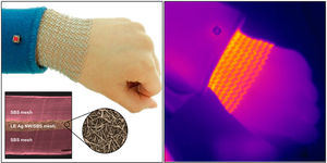 Nanodraht-Netz: platziert auf dem Handgelenk (Foto: ibs.re.kr)