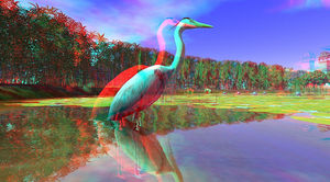 Reiher: Kein Grund zum Reihern nach 3D-Filmen (Foto: flickr.com/pallina60 Loon) Reiher: Kein Grund zum Reihern nach 3D-Filmen (Foto: flickr.com/pallina60 Loon)