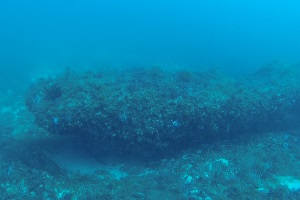 Versunkener Monolith: Beweis für frühe Besiedelung (Foto: ogs.trieste.it)