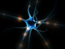 Neuron: Überlastet sich bei Energieproduktion (Foto: flickr.com/Taylor Maley)