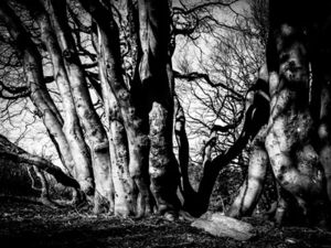 Depressives Bild: Ein Selbstmord kündigt sich an (Foto: pixelio.de, FotoHiero) Depressives Bild: Ein Selbstmord kündigt sich an (Foto: pixelio.de, FotoHiero)