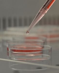 Im Labor: Neues Hydrogel DAC bekämpft Infektionen (Foto: novagenit.com)