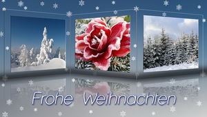 Grüße: Animierte E-Cards sprechen Tausende an (Foto: Rosel Eckstein/pixelio.de) Grüße: Animierte E-Cards sprechen Tausende an (Foto: Rosel Eckstein/pixelio.de)