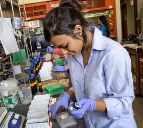 Experimente im Labor: Neues Gel hat großes Potenzial (Foto: utexas.edu)