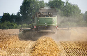 Ernte: Tracking für viele Bauern interessant (Foto: pixelio.de/Bernd Kasper)