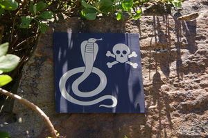 Achtung, Schlage: Gegengift wird rar (Foto: pixelio.de/Katharina Wieland Müller) Achtung, Schlage: Gegengift wird rar (Foto: pixelio.de/Katharina Wieland Müller)