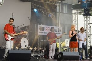 Live-Musik: weiter Umsatzbringer der Musikindustrie (Foto: pixelio.de/U. Glas) Live-Musik: weiter Umsatzbringer der Musikindustrie (Foto: pixelio.de/U. Glas)