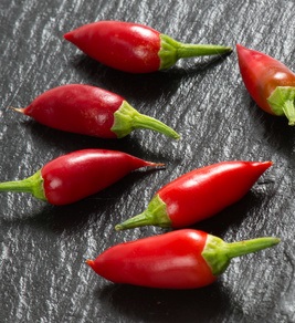 Chili: Geschmacksstoff wird Hemmstoff (Foto: pixelio.de/Stefanie Salzer-Deckert)