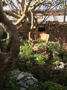 Wildwuchs: ein grünes Haus voller edler Tropfen (Foto: pernod-ricard.com)