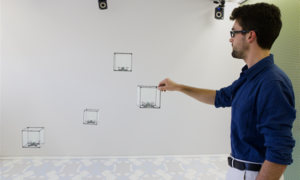 3D-Displays: Sie reagieren auf Handgestiken (Foto: queensu.ca)