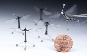 ''RoboBees'': Sie wiegen gerade einmal 80 Milligramm (Foto: wyss.harvard.edu)