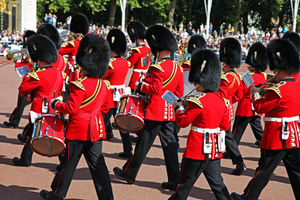 Wachen in London: Meister des Fußmarsches (Foto: pixelio.de/Andrea Damm)