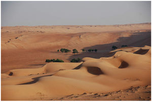 Wüste im Oman (© www.schulz-aktiv-reisen.de)