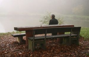 Einsam im Wald: schlecht für die Gesundheit (Foto: pixelio.de, angieconscious)