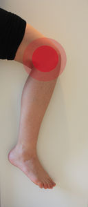 Knie: Mikrovesikel schützen Knorpel (Foto: pixelio.de, Fit-and-Fresh.com)