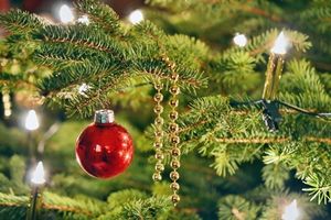 Weihnachtsbaum: stört WLAN-Verbindungen (Foto: pixelio.de/Andreas Hermsdorf) Weihnachtsbaum: stört WLAN-Verbindungen (Foto: pixelio.de/Andreas Hermsdorf)