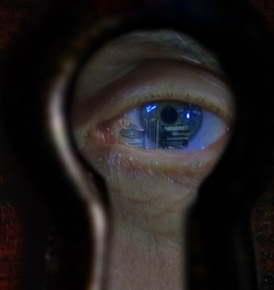Auge: Wer sich viel bewegt, sieht besser (Foto: pixelio.de, Bernd Kasper)