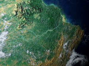 Regenwald am Amazonas: Artenvielfalt in Gefahr (Foto: pixelio.de, Dieter Schütz)